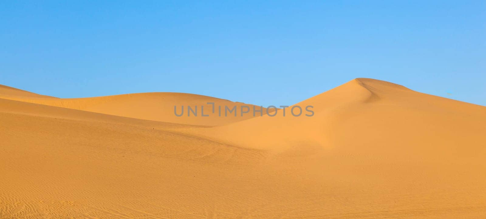 beautiful sand dune in sunrise in the desert