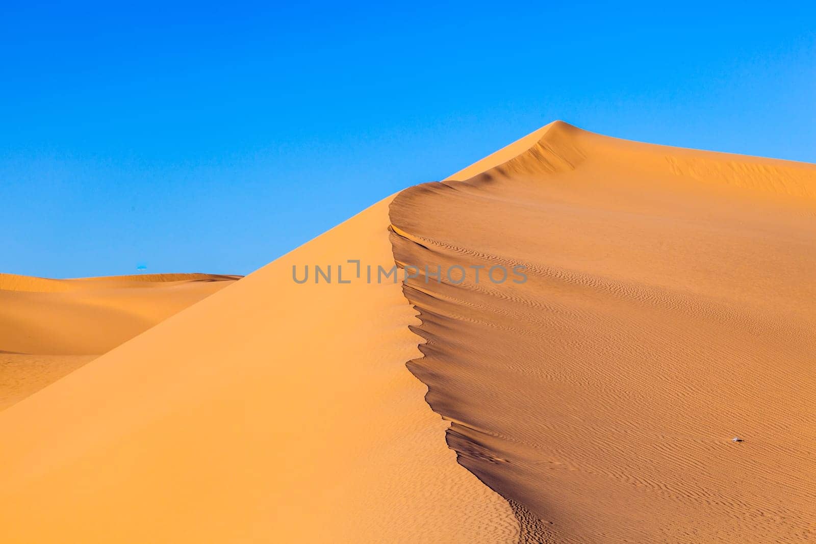 beautiful sand dune in sunrise in the desert