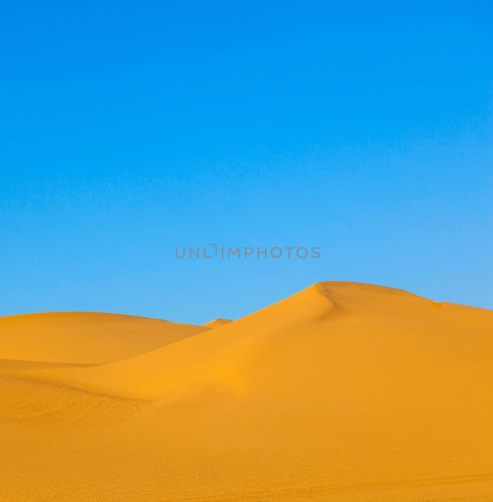 beautiful sand dune in sunrise in the desert