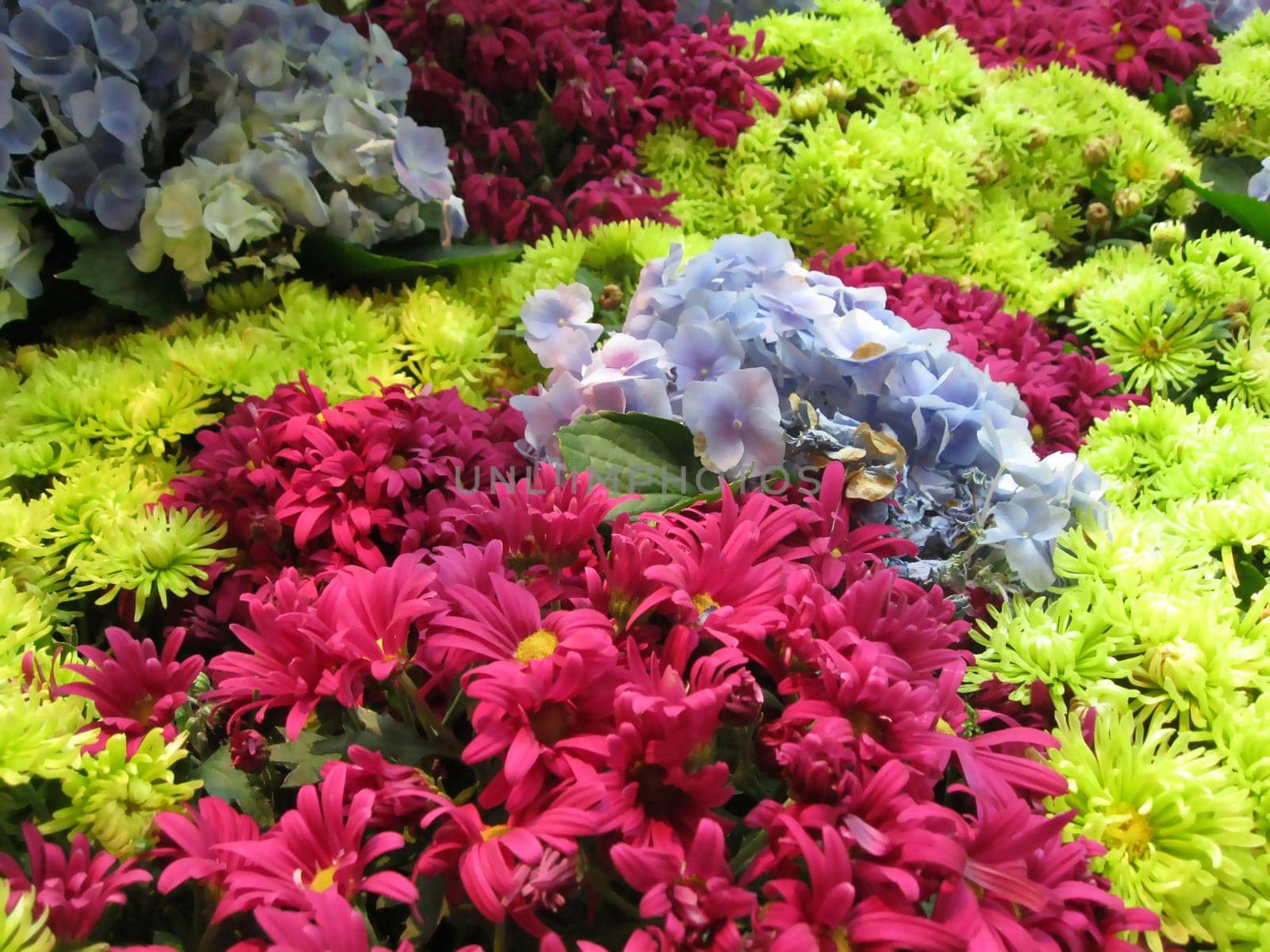 Floral background