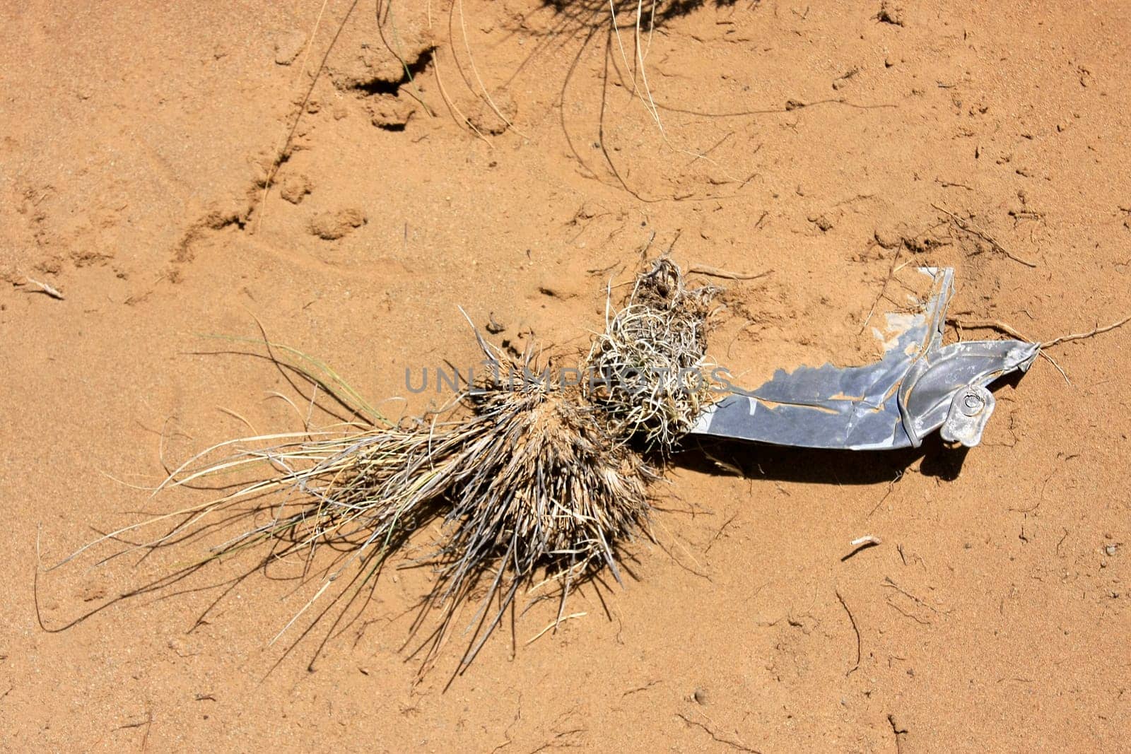 Rusty can in the desert