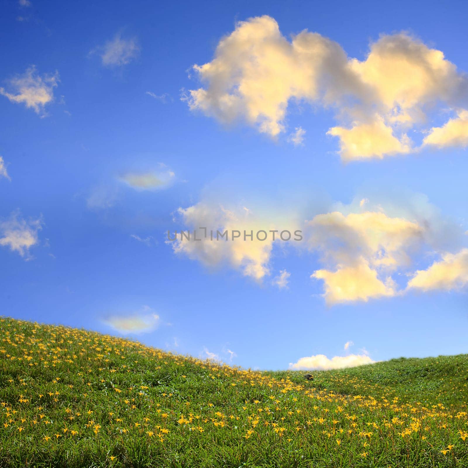 Spring landscape for adv or others purpose use
