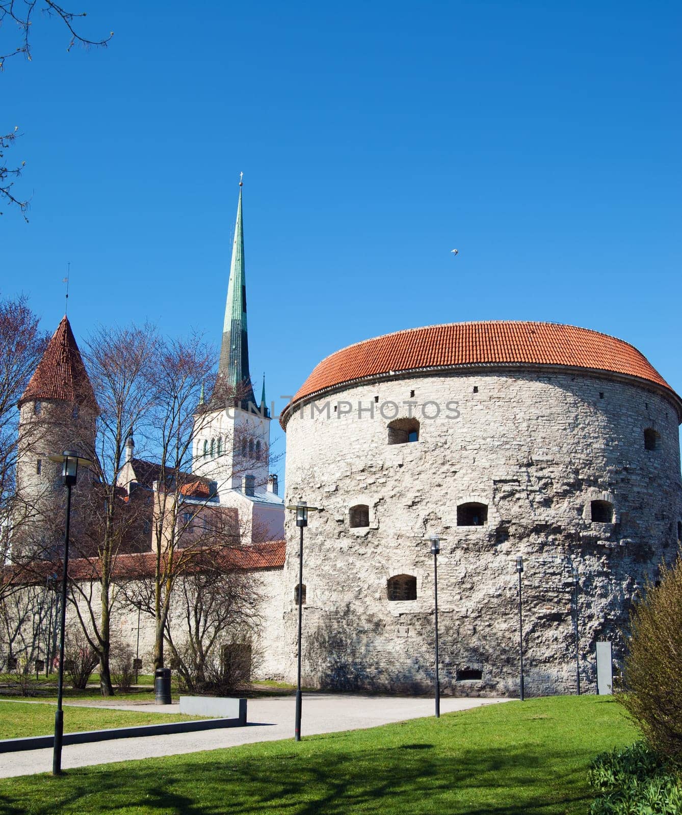 Tower Thick Margarita, Tallinn
