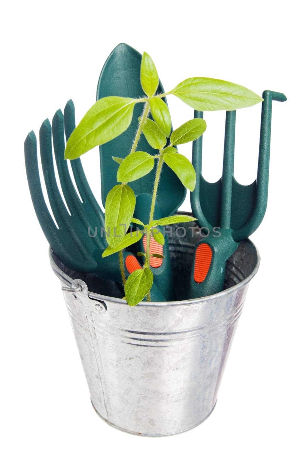 Garden tools, it is isolated on white