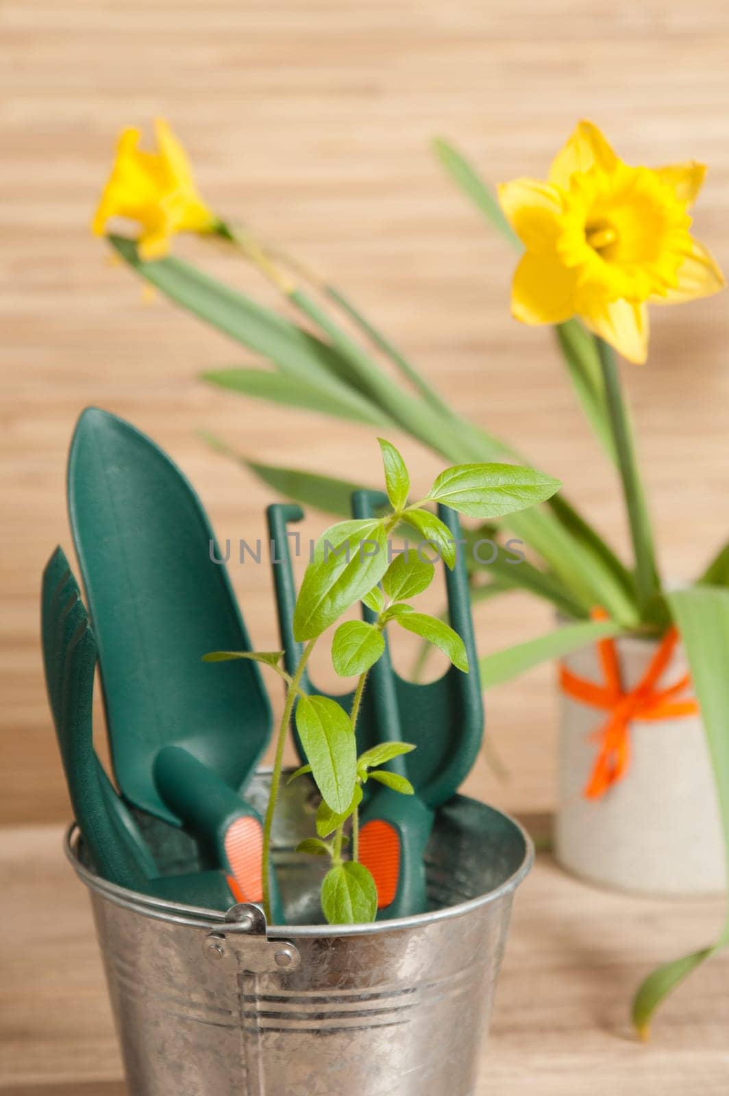Fresh herbs with gardening tools