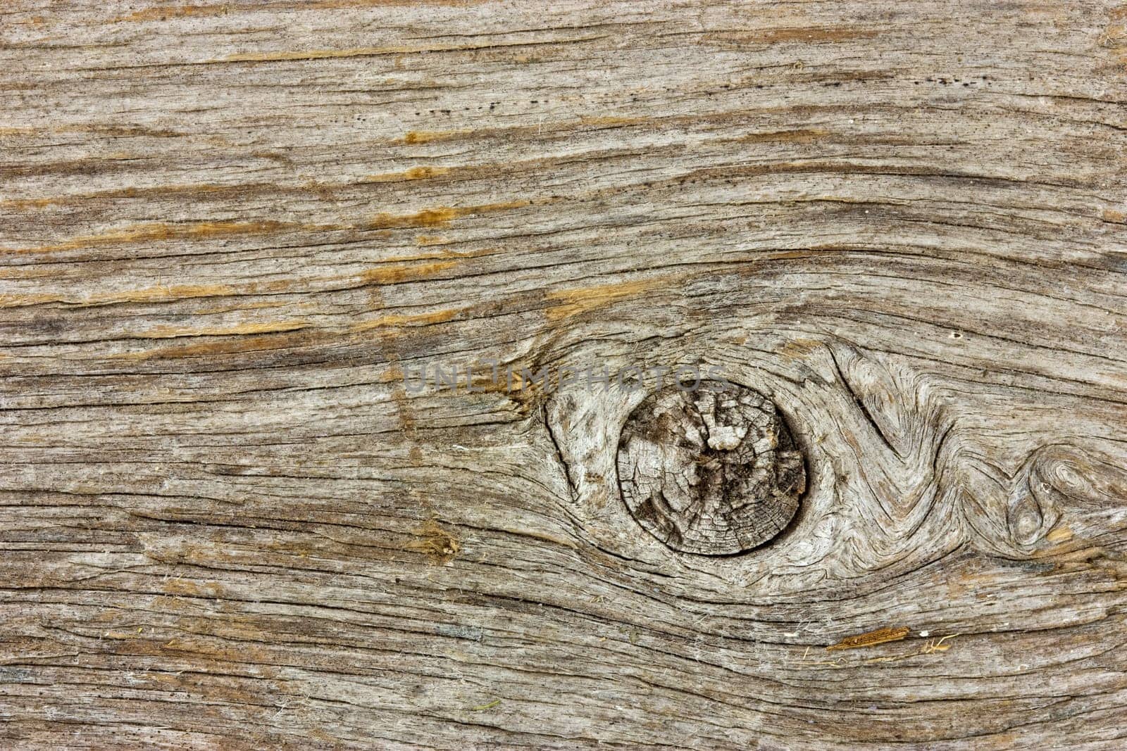 Very old wood texture, can be used as a background