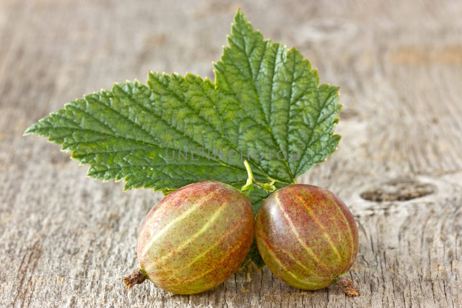 gooseberries with leaf on the  wooden background