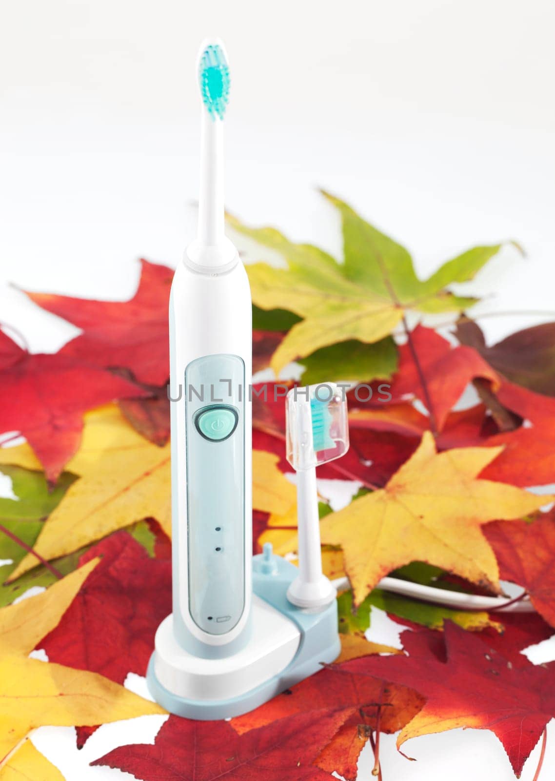 Electric toothbrush