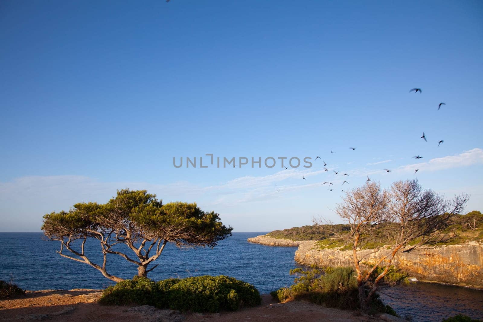 Cala Pi Bay