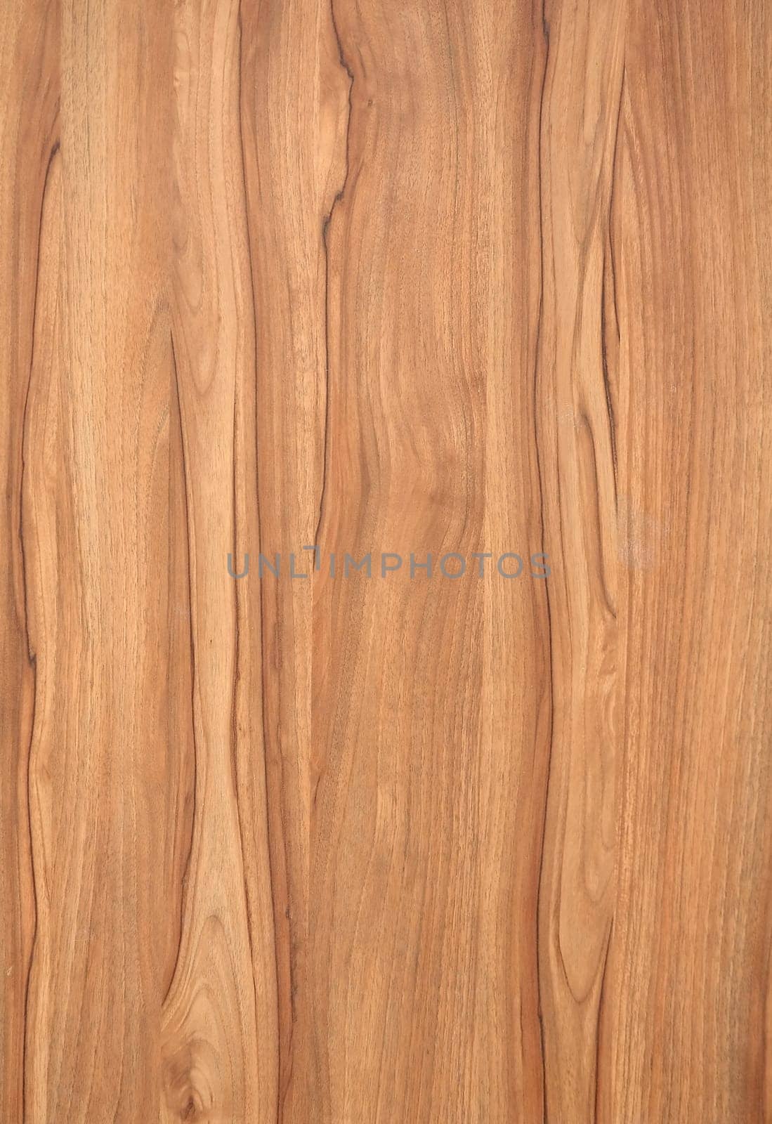 texture of wood