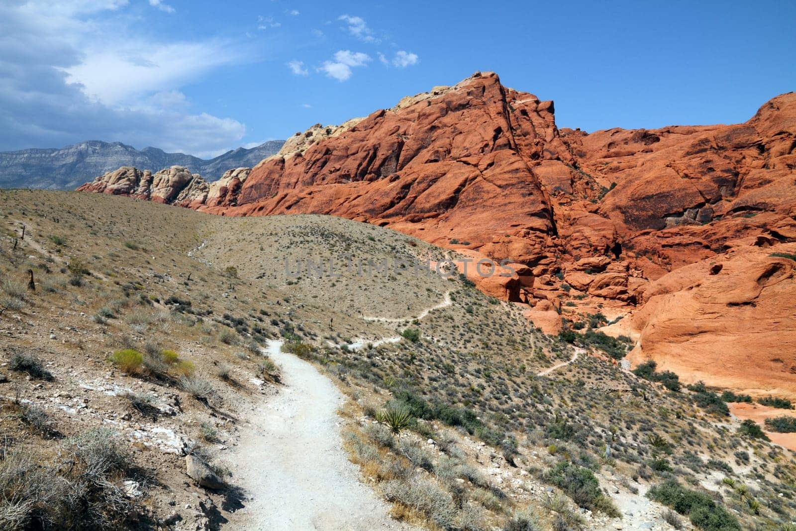 Red rock canyon, Nevada, USA