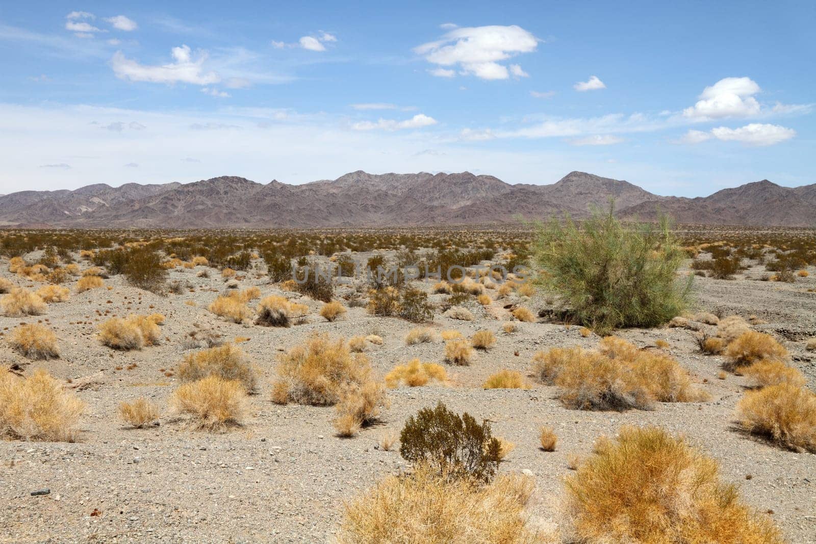 The Mojave Desert located at southeastern California, southern Nevada, southwestern Utah and northwestern Arizona.
