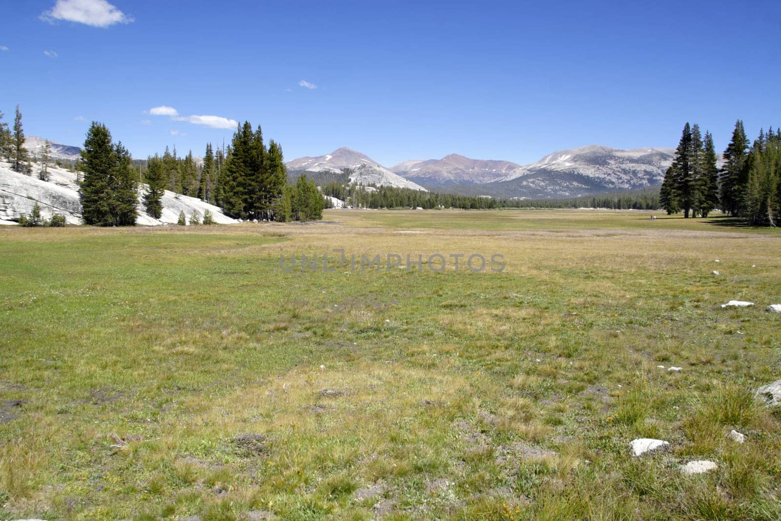 Tuolumne Meadows in Yosemite National Park