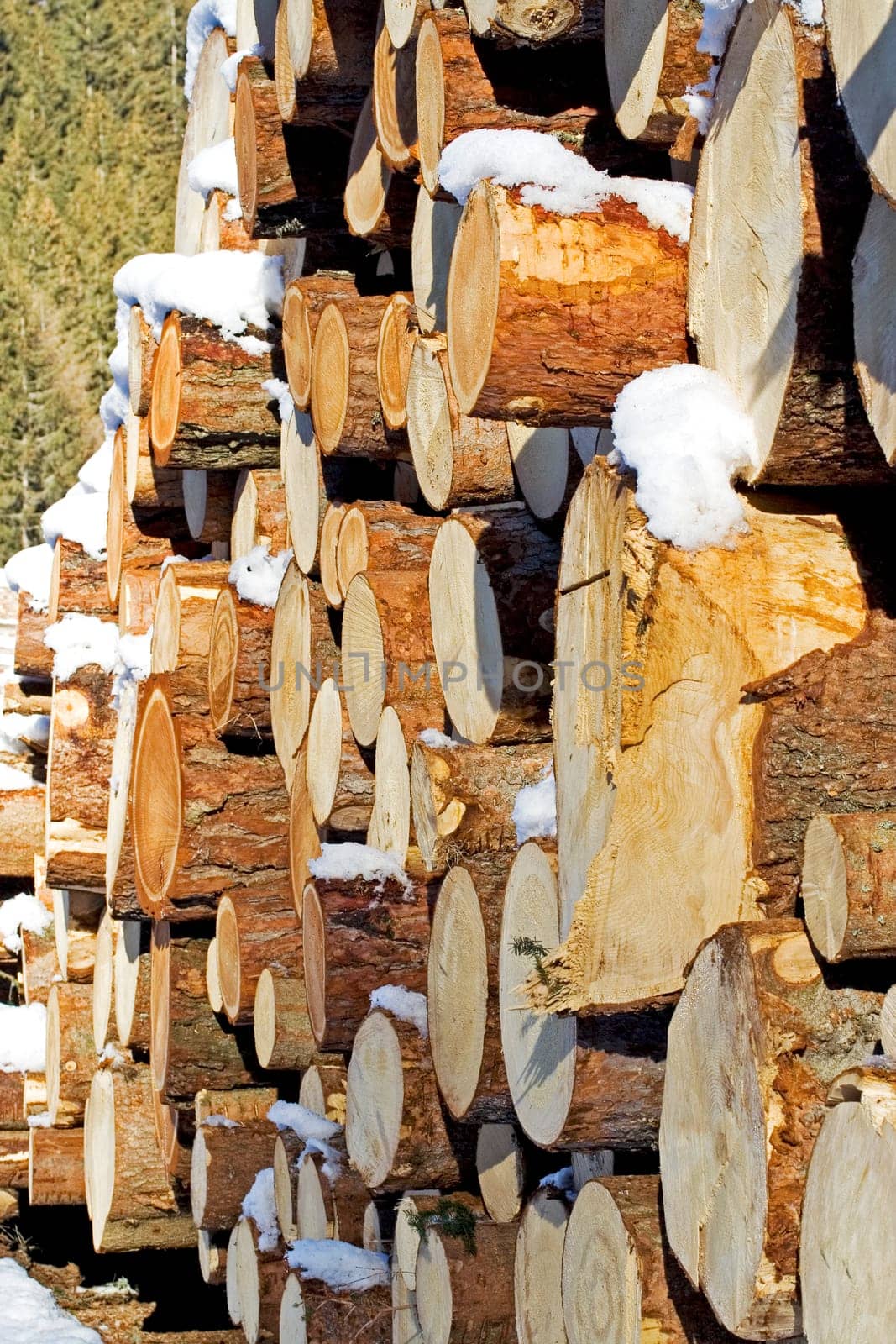 Wood pile snowed