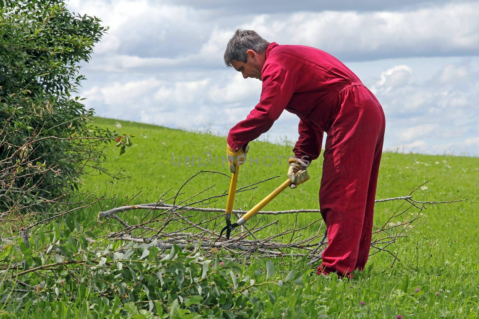 A man gardening
