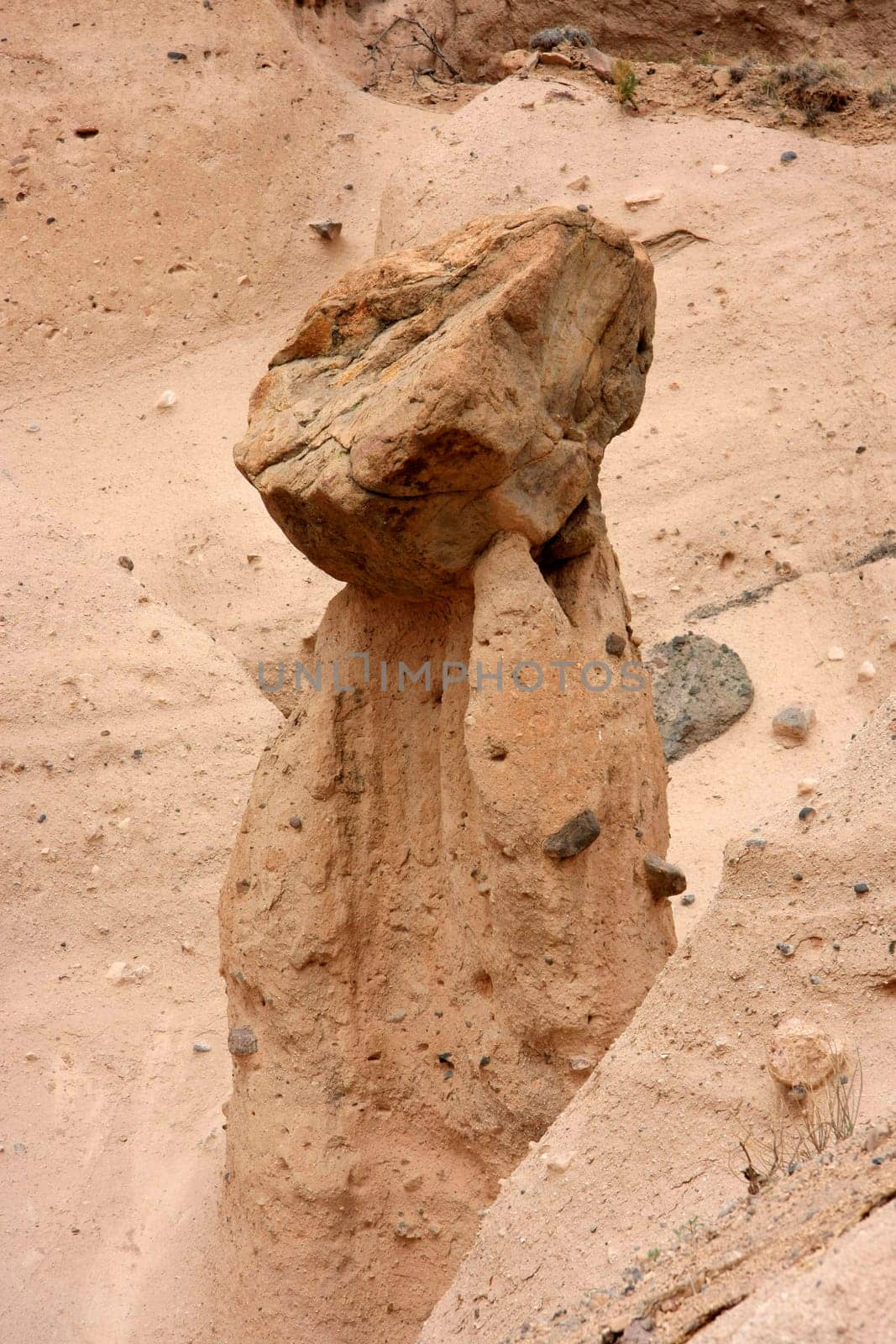 The Stone Thinker in the Desert