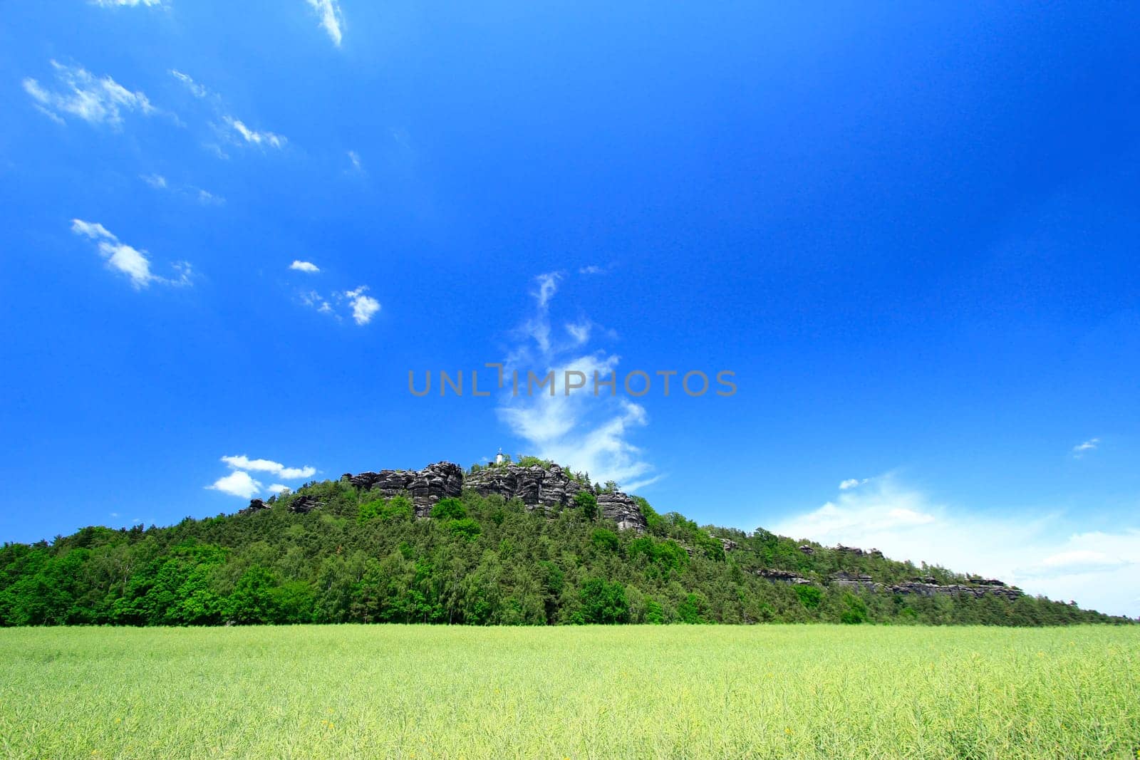 The Pope's Stone in the Saxon Elbe Sandstone Mountains under a blue sky over an already withered rapeseed field ("Saxon Switzerland"")"