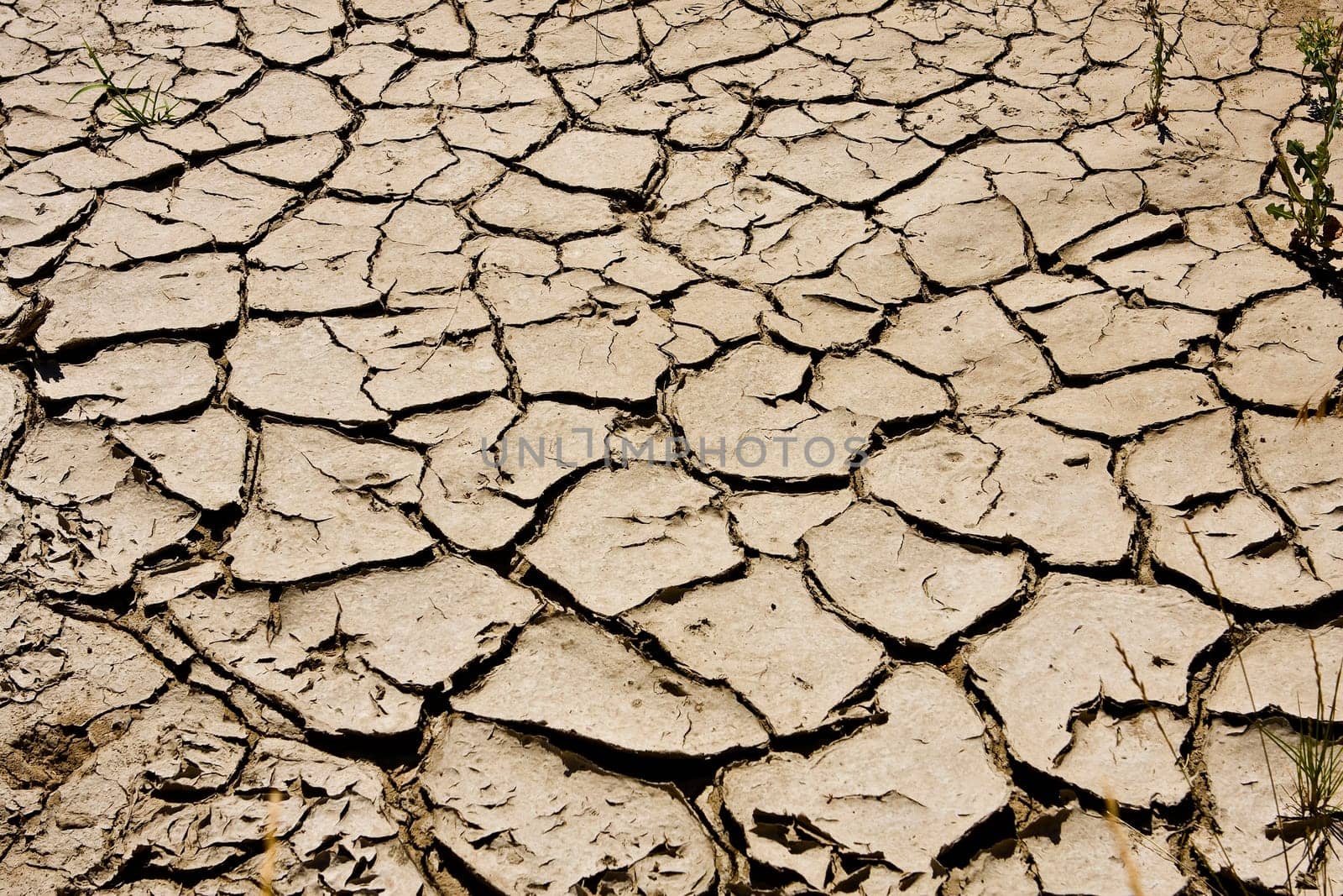 Detail photo of dried, cracked mud
