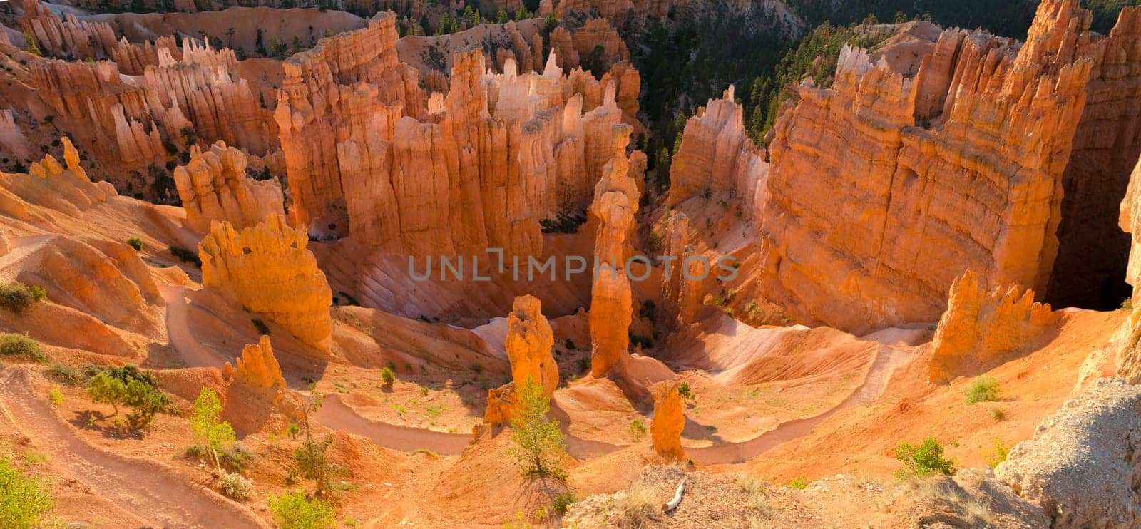 overview at sunrise in Bryce Canyon National Park in Utah in the United States of America