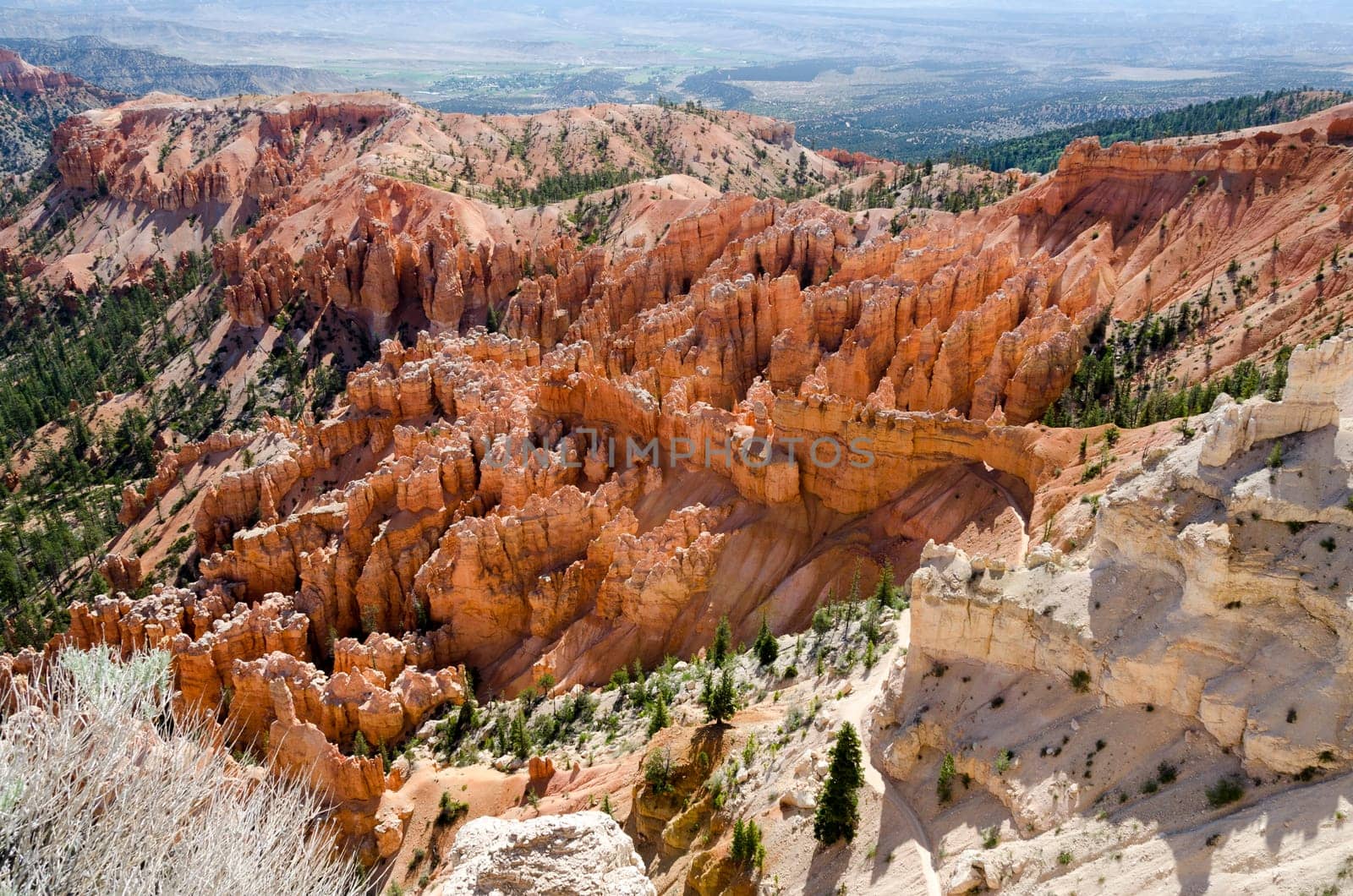 overview of Bryce Canyon National Park in Utah in the United States of America