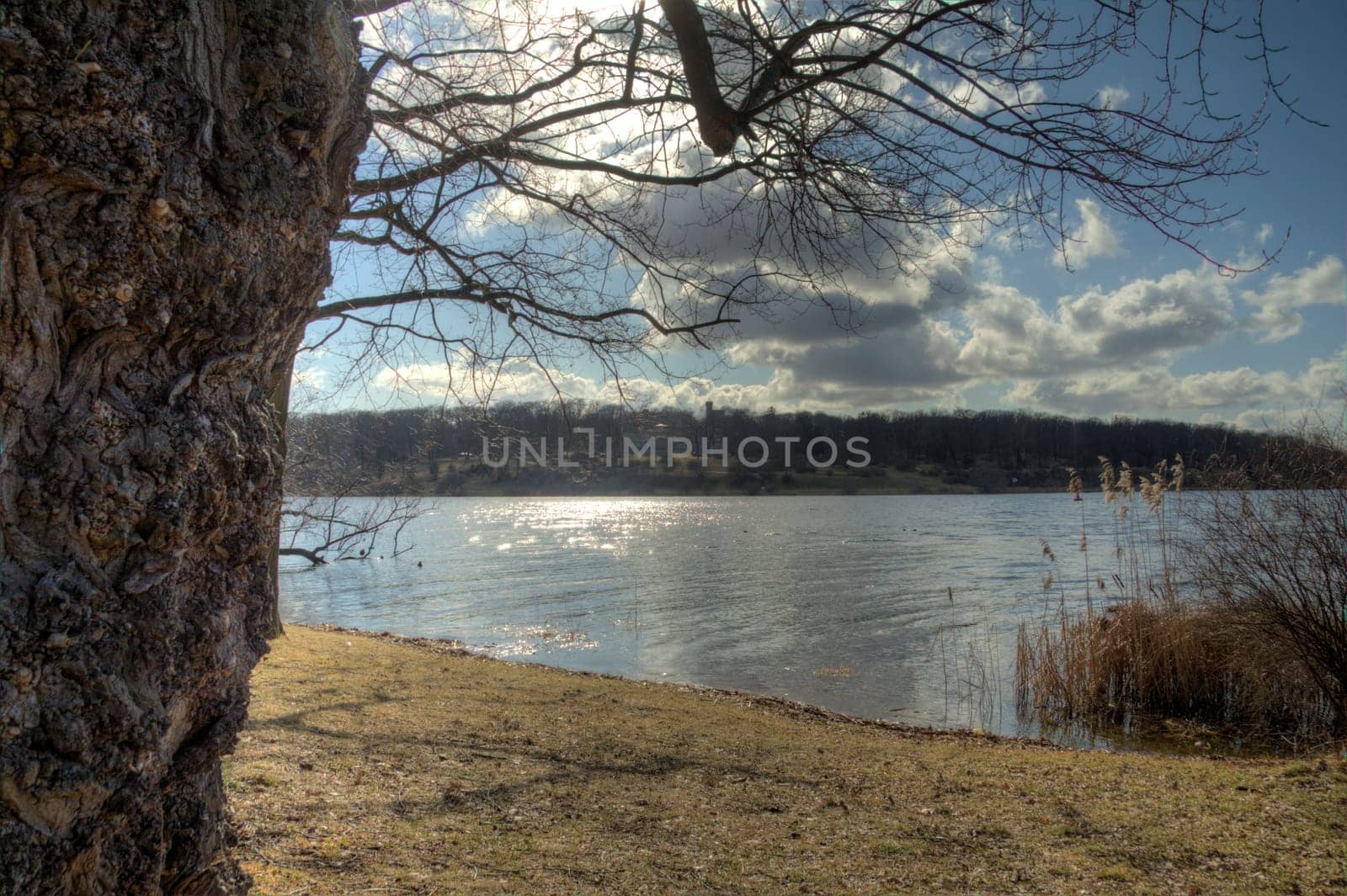 View of the Glienicke Lake