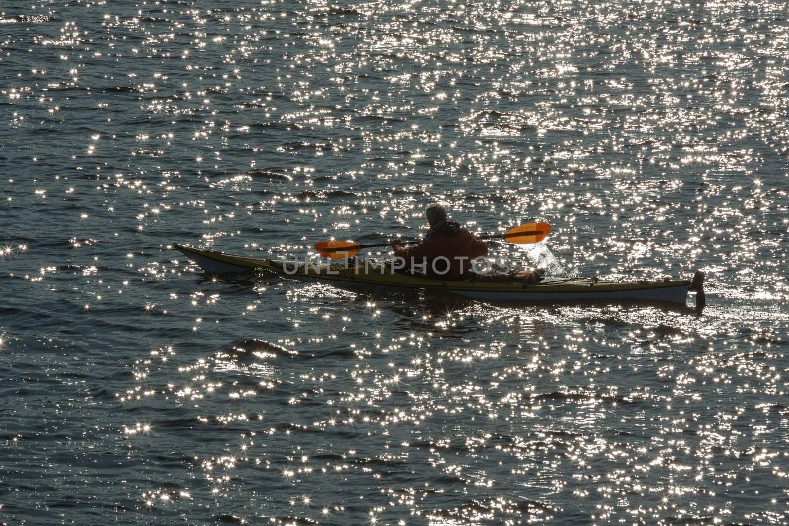 Paddlers in the backlight on the Glienicke Lake