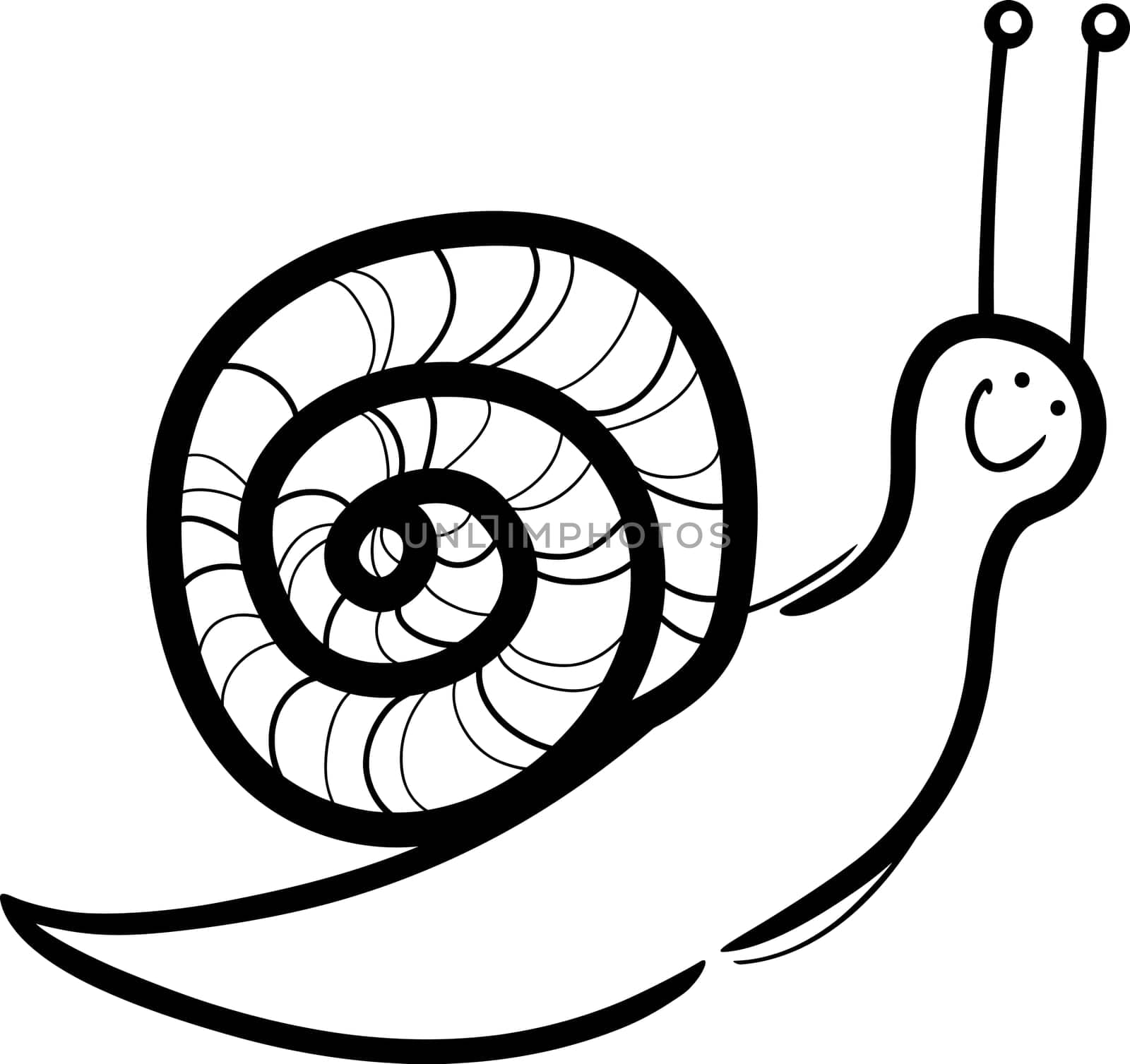 cartoon illustration of cute snail with shell for coloring