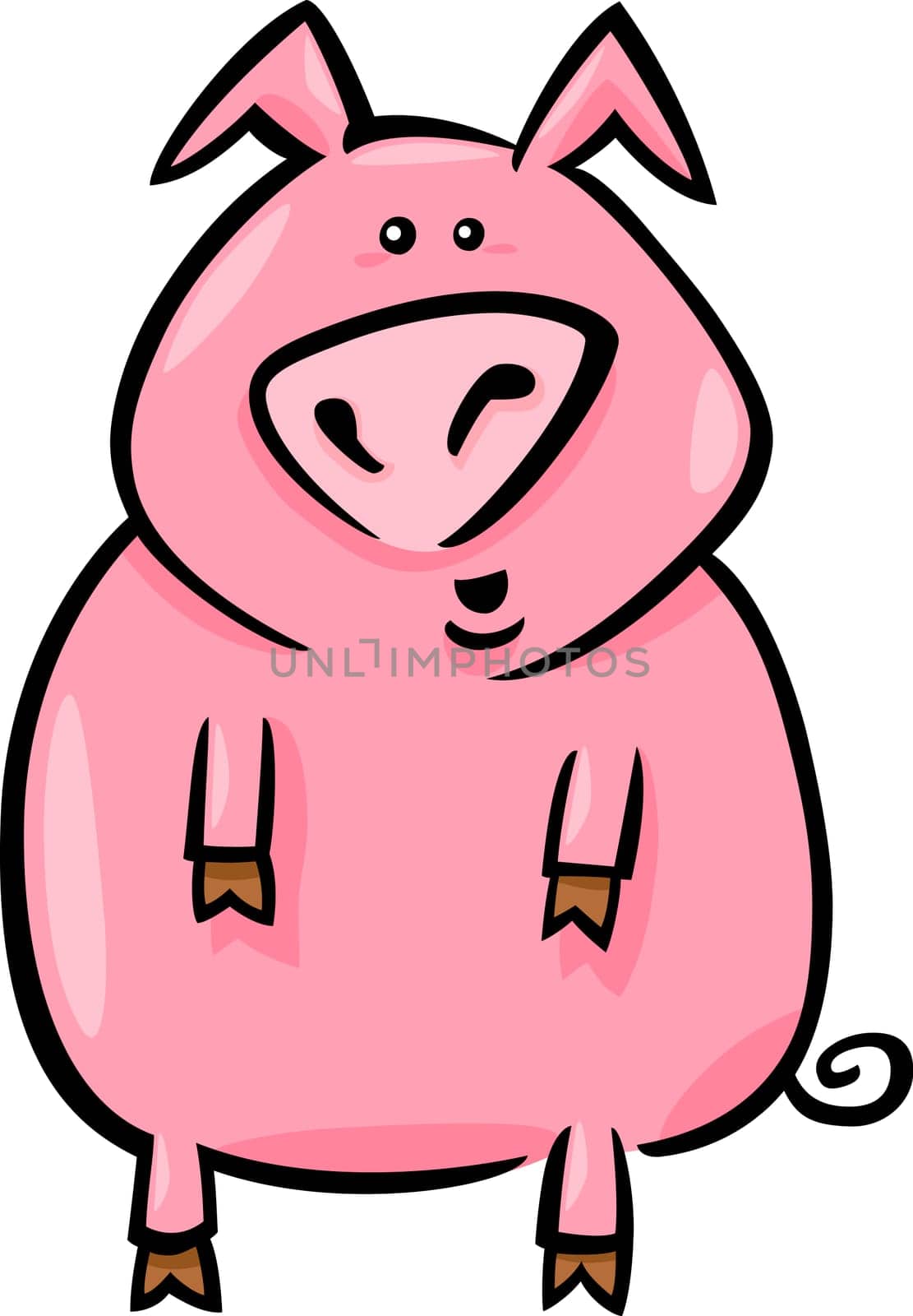 cartoon illustration of cute pink farm pig