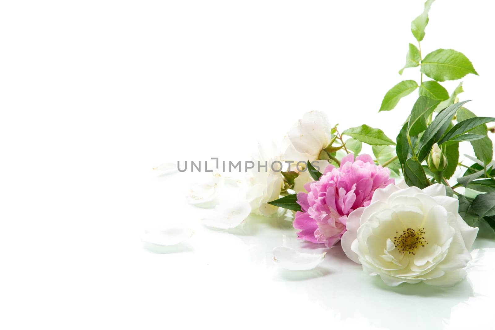 bouquet of summer white roses and peonies , isolated on white background.