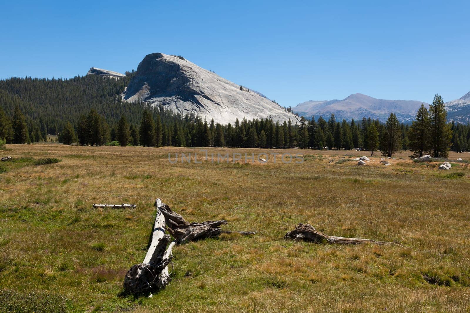 Yosemite national park in California - USA