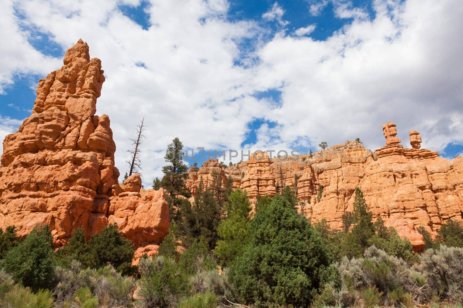 Red rock canyon in Utah - USA