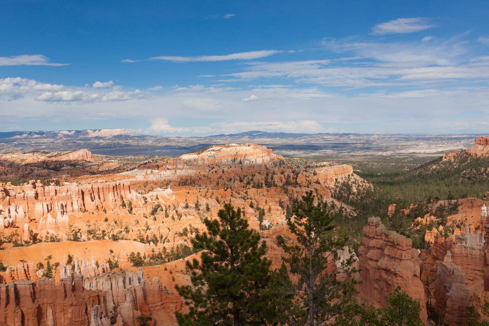 Bryce canyon national park in Utah  - USA