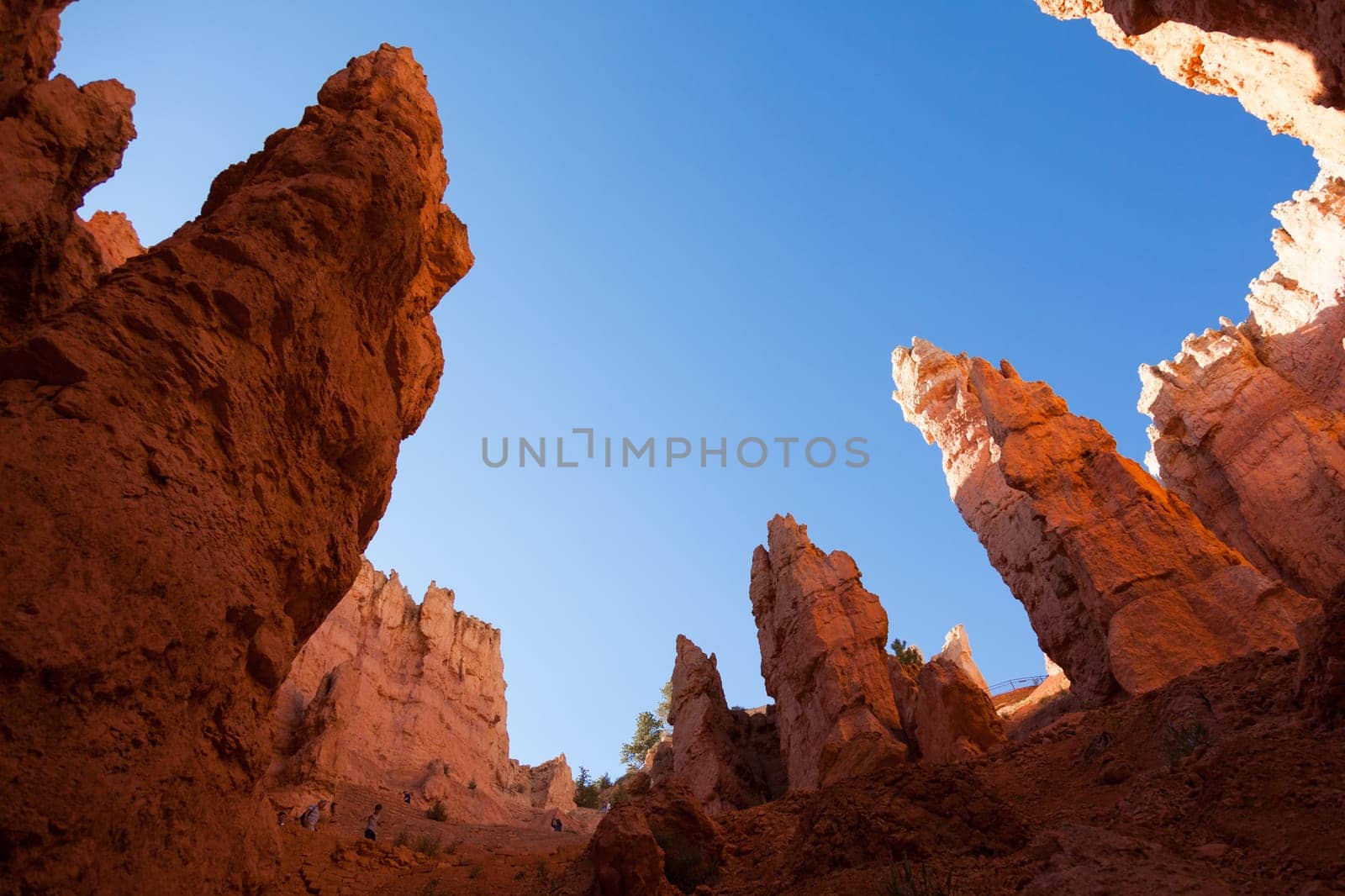 Bryce canyon national park in Utah  - USA