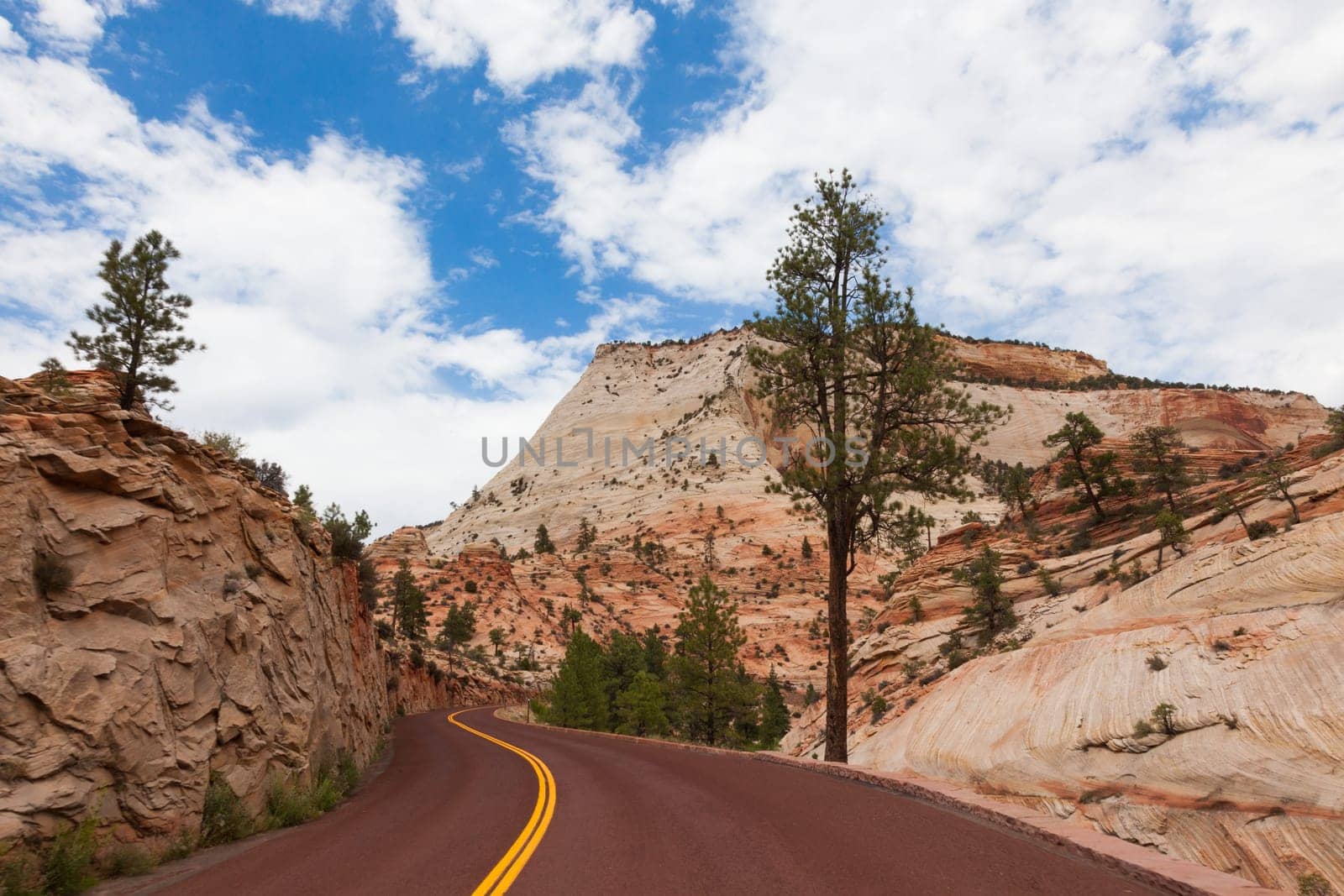 Road through Zion Park in Utah, USA