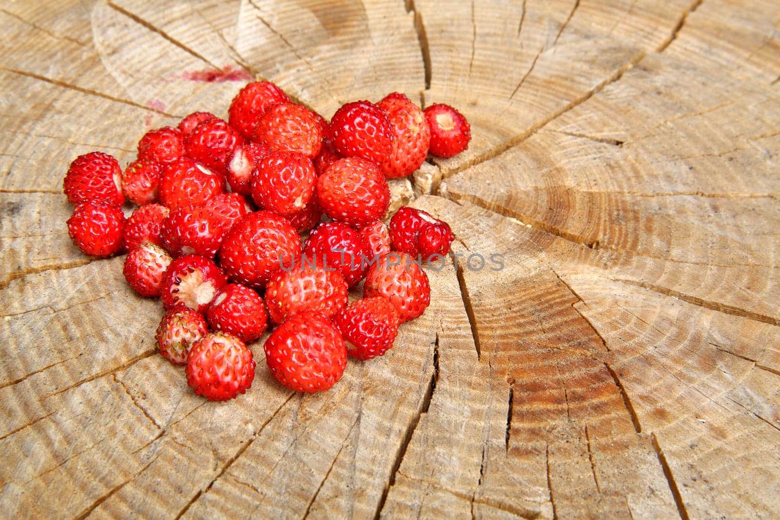 Wild strawberries are on stup seems very tasty