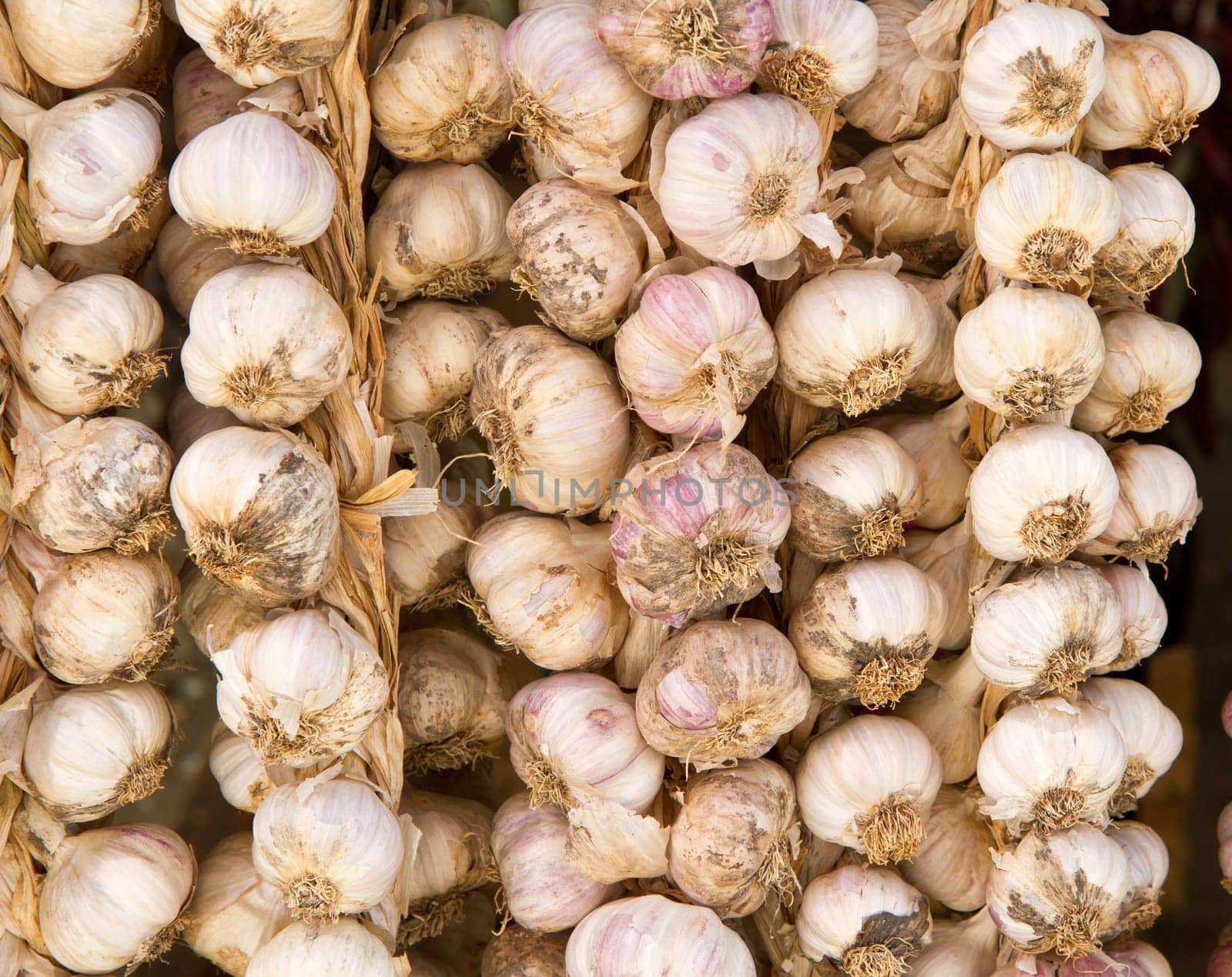 Organic garlics hanging in a market place