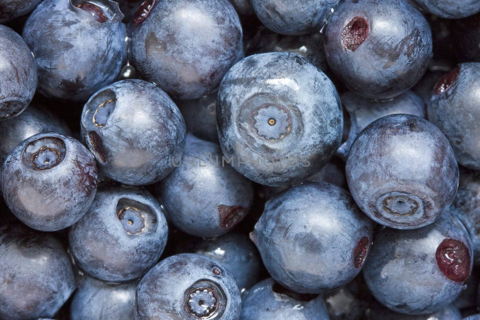 Close-up of fresh blueberries filling the frame