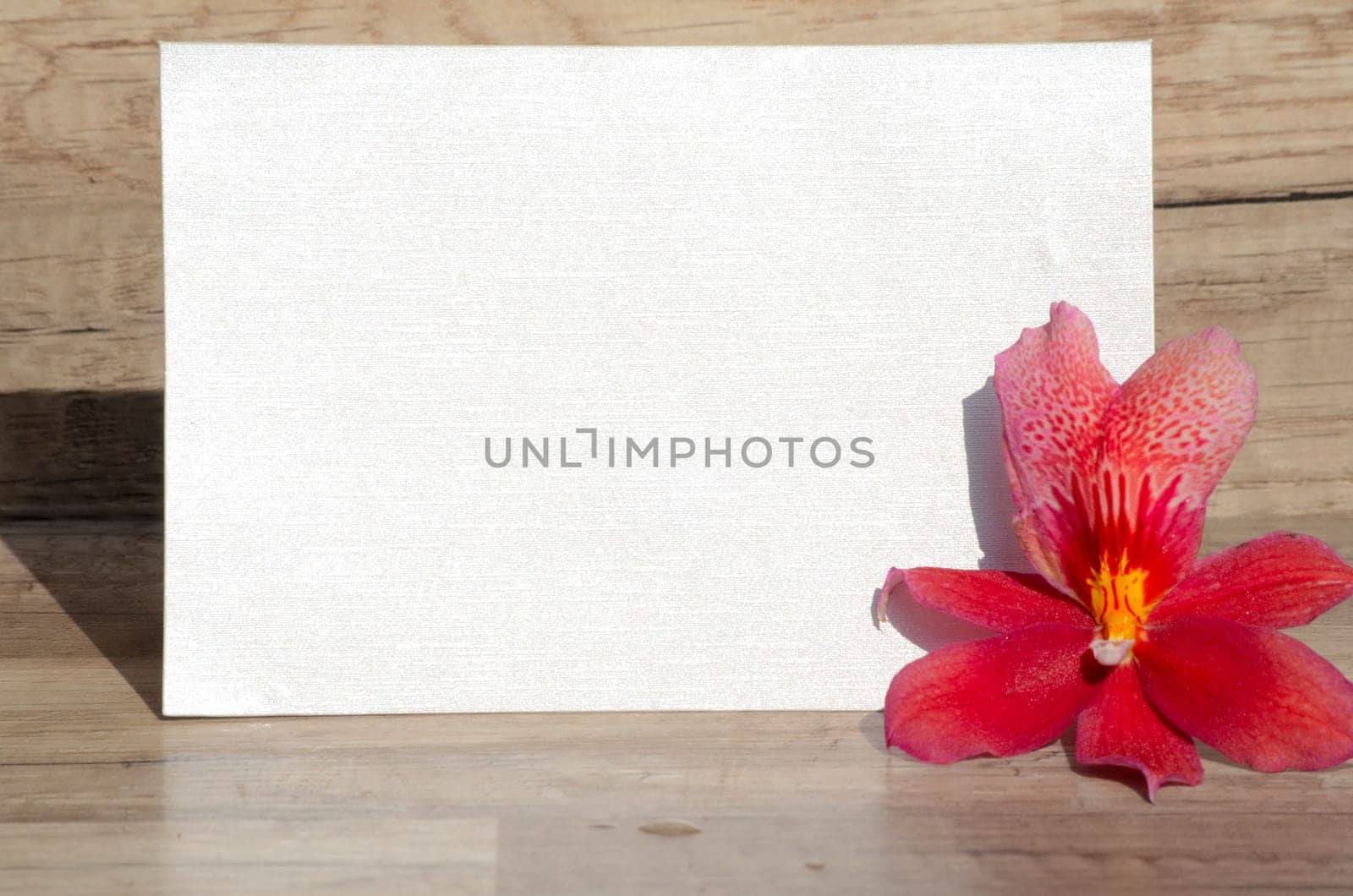 Letter voucher with roses
