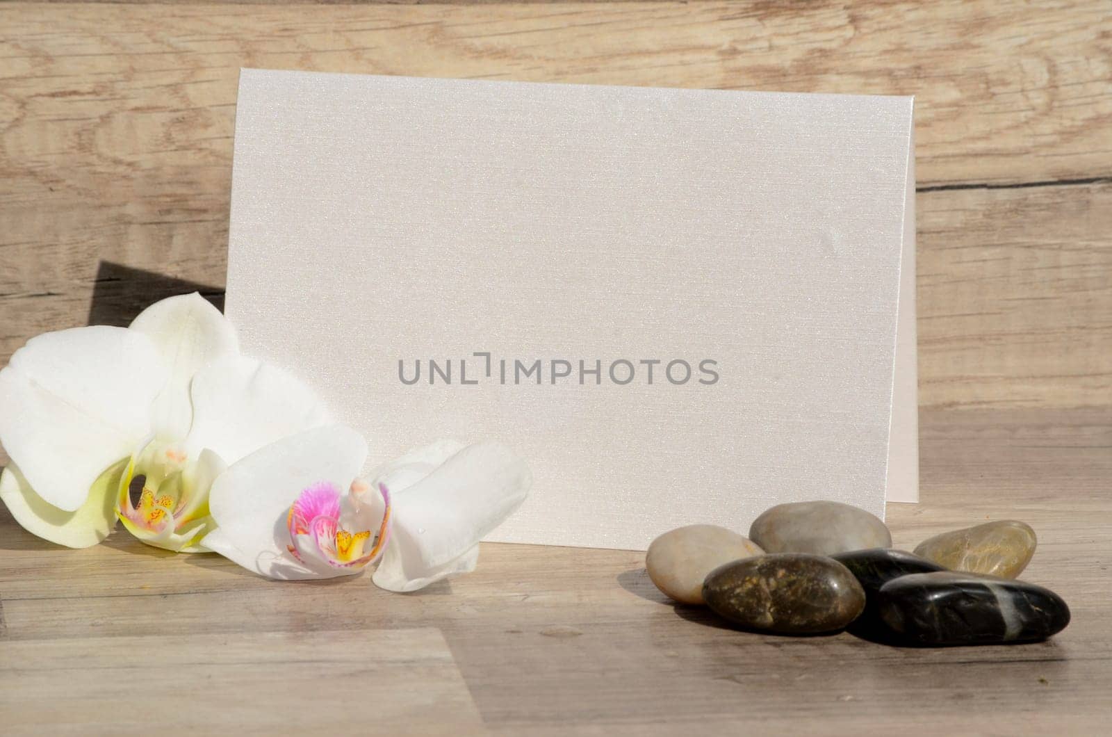 Letter voucher with roses