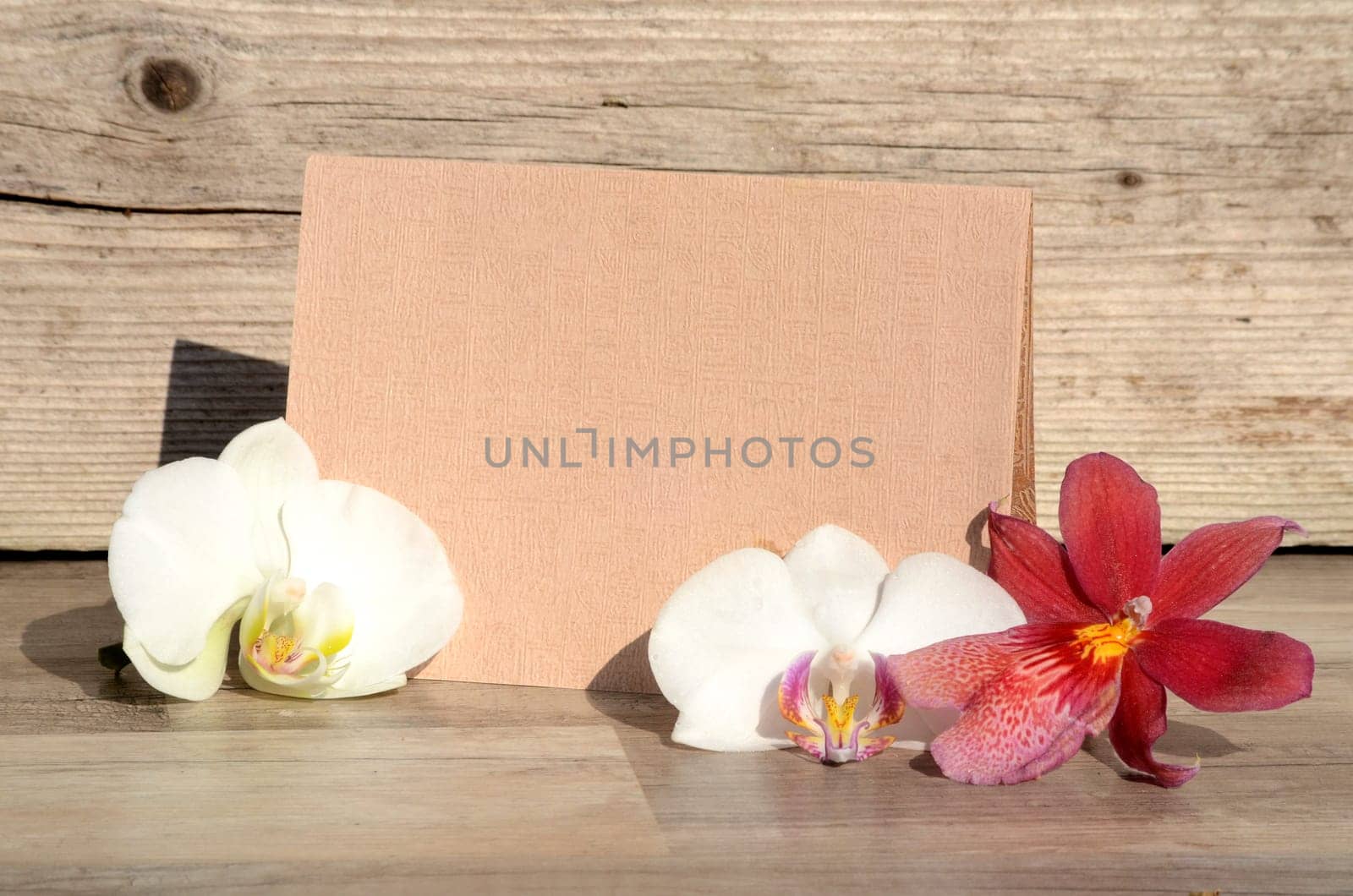Letter voucher with roses