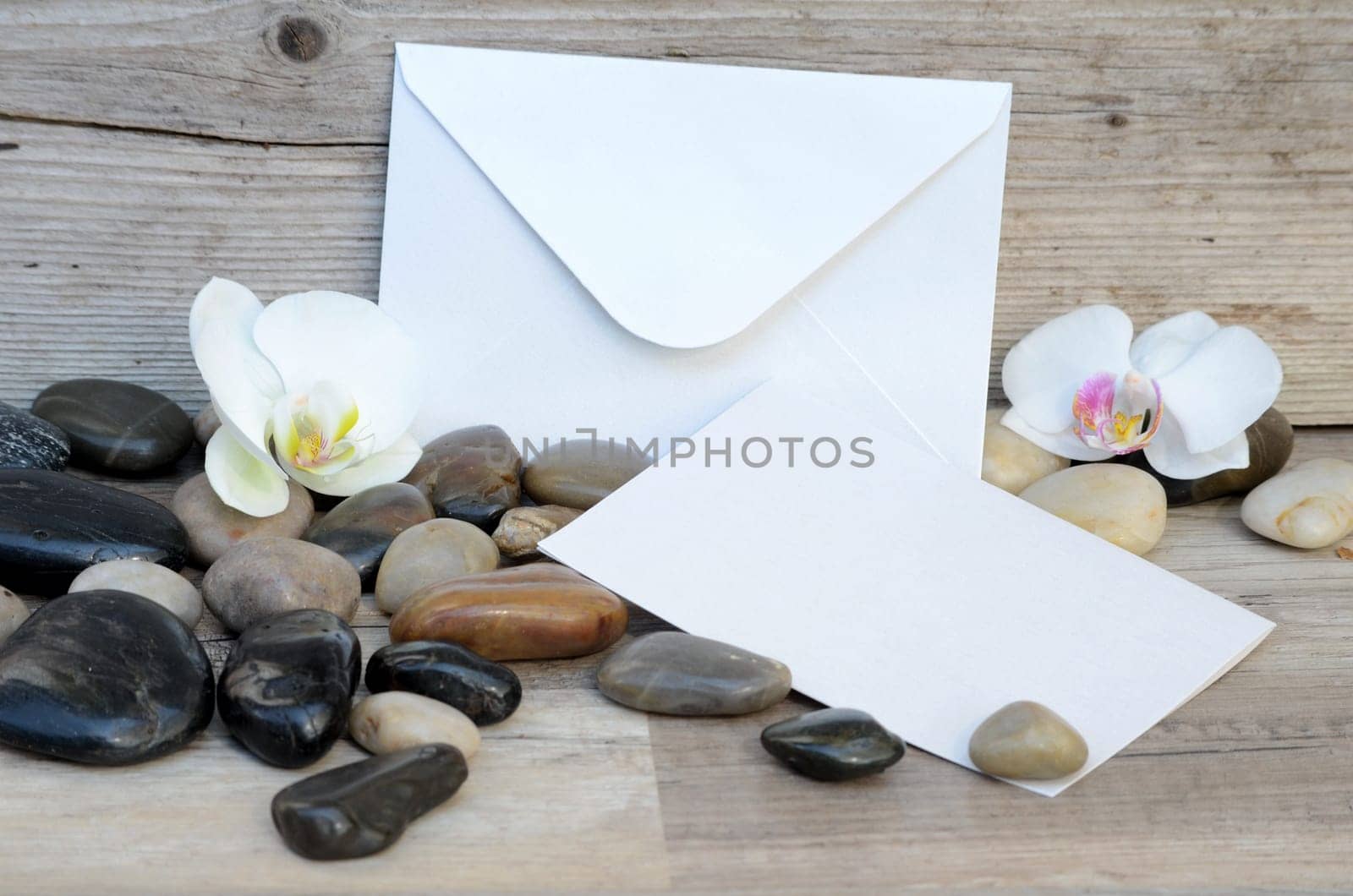 Letter Voucher Flowers Orchids