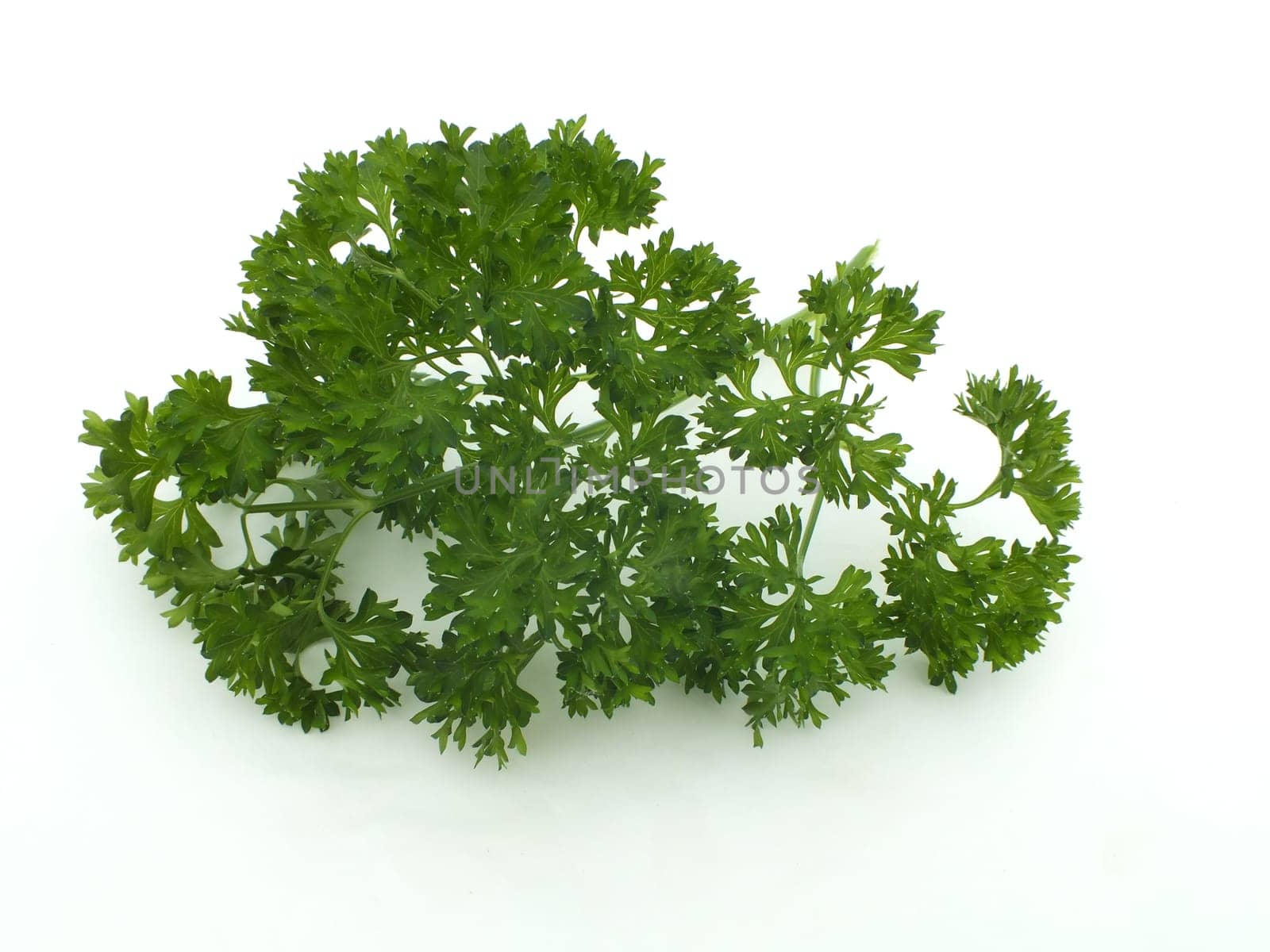 parsley,organic,eat,optional,fresh,healthy ,green,isolated