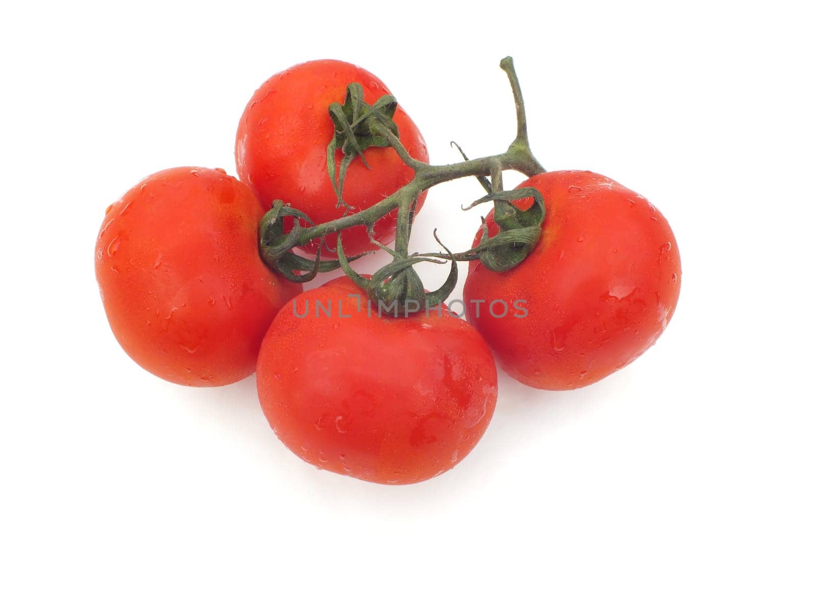 tomatoes