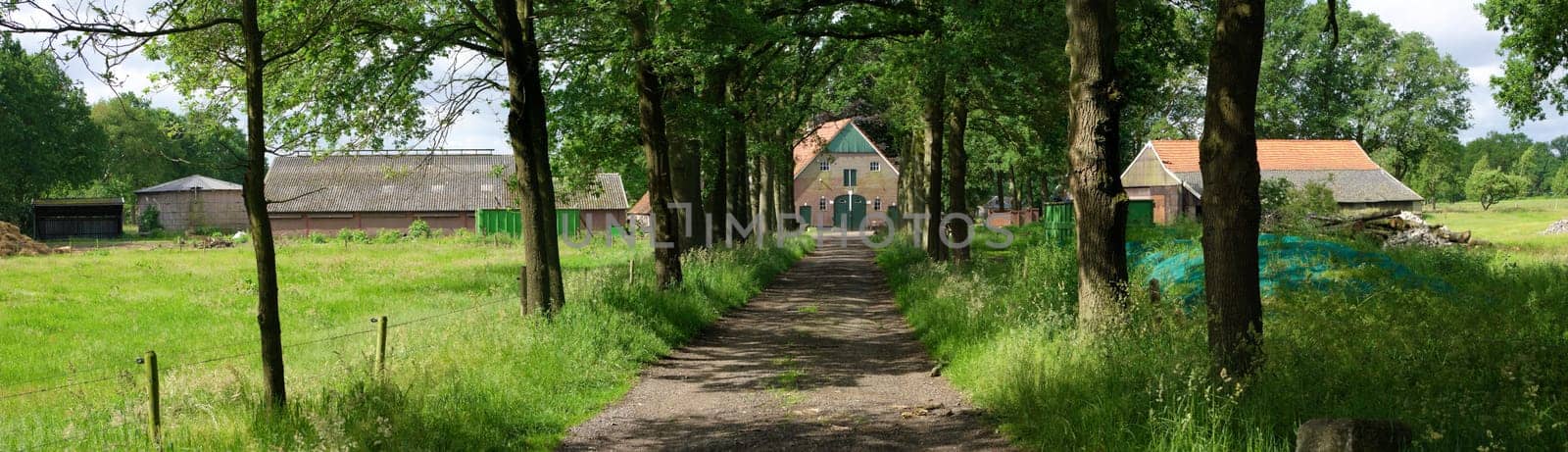 panoramic shot of typical dutch farmhouse in the eastern part of the netherlands