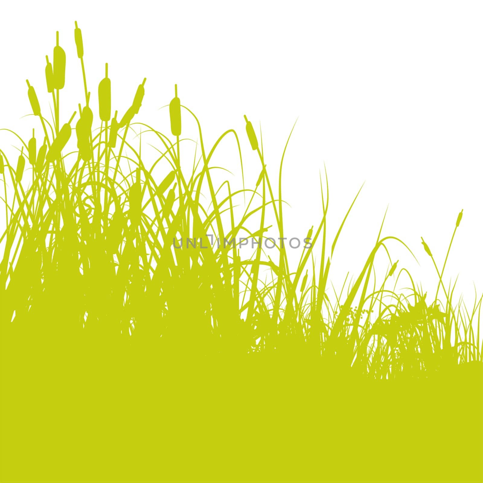 Blades of grass with reeds