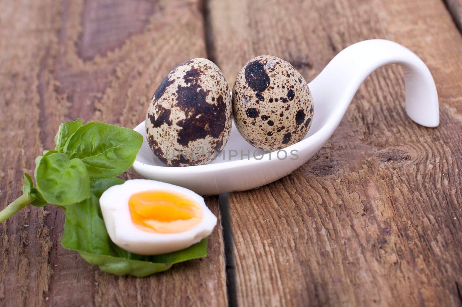 Quail Eggs