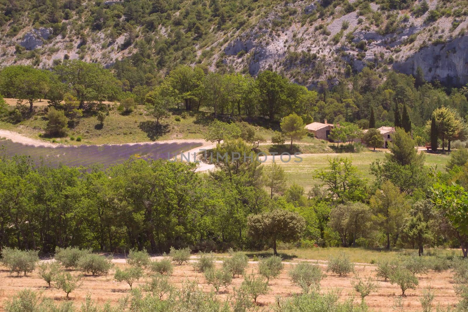 Aerial view of the region of Provence in France. Near the town of Gordes)