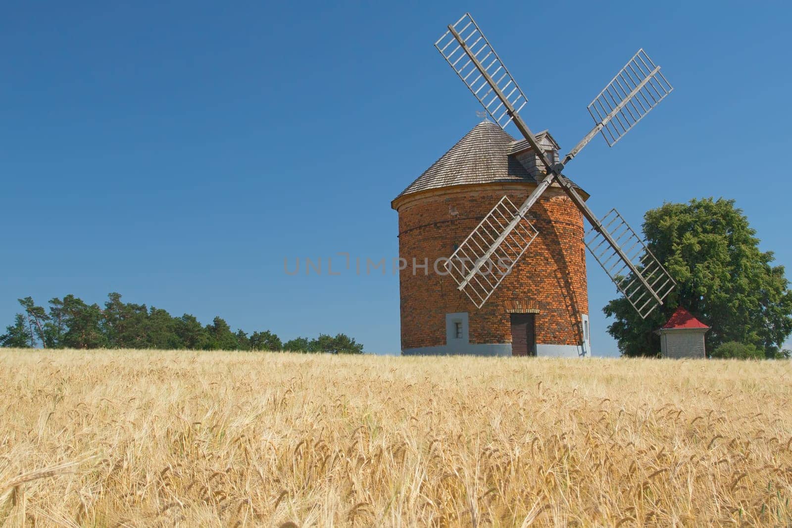 Brick windmill in a field of corn. Blue sky in the background. (Chvalkovice, Czech Republic)