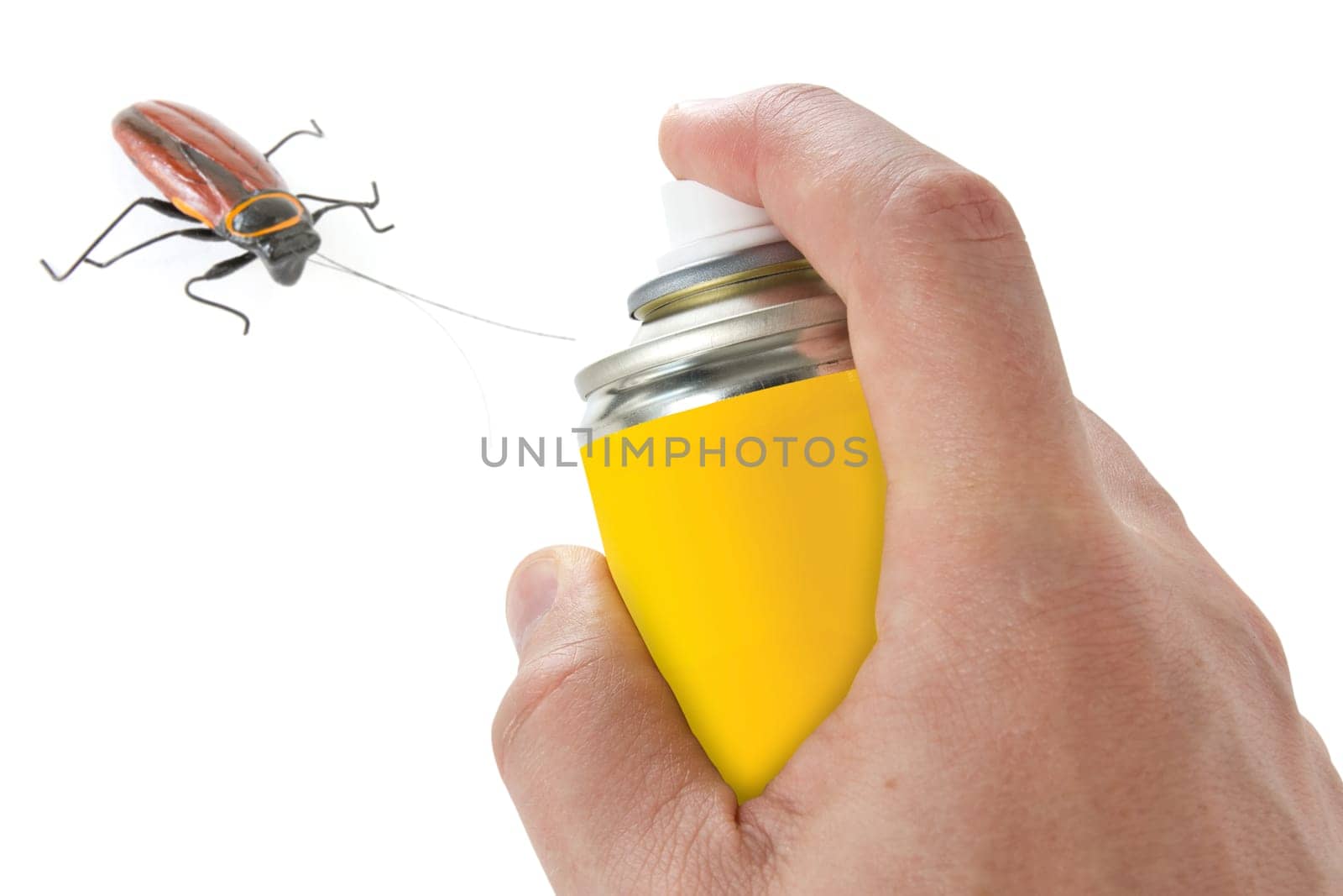 Spraying insecticide on cockroach. Isolated on white background