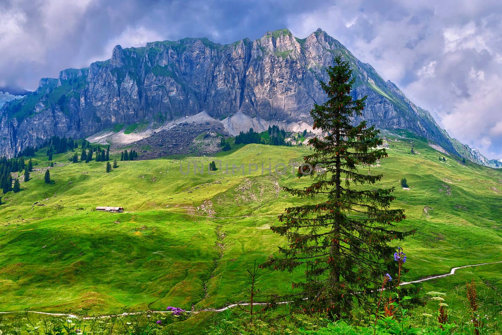 Hike on the Pragel Pass